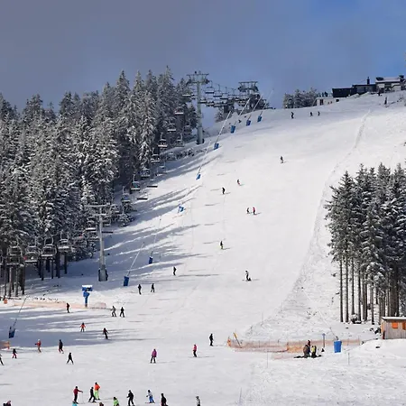 Diemelblick 19 - Besonders Familienfreundlich Mit Terrasse, Sauna Und Garten Fuer 4 Gaeste * Херингхаузен